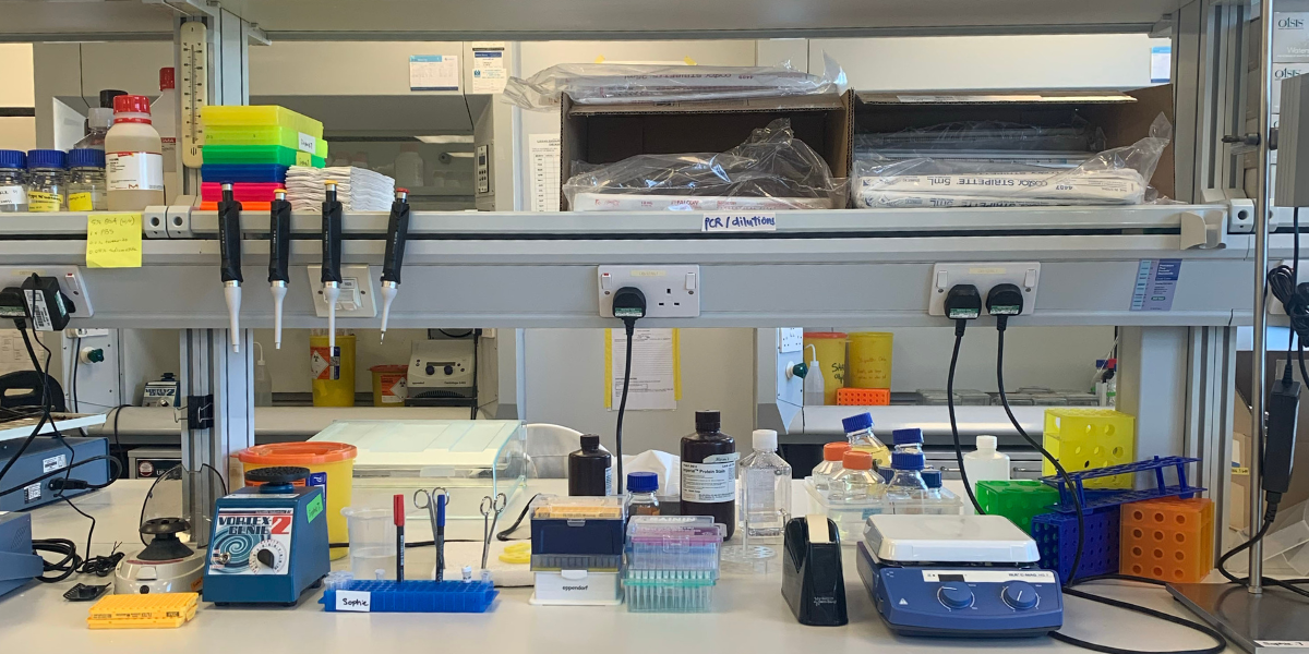 A lab that sparks joy my experience setting up a lab from scratch